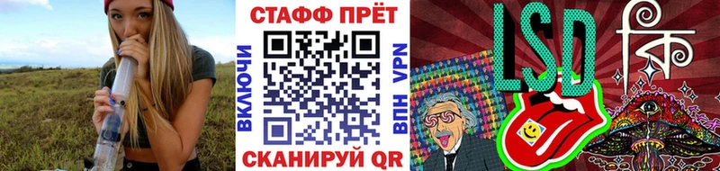 Меф мяу мяу Ершов