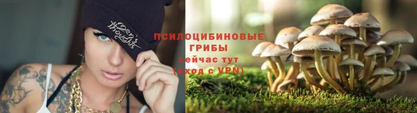 ECSTASY Кодинск