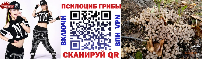 Галлюциногенные грибы MAGIC MUSHROOMS  Купить закладки  Ершов 